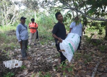 Menikmati Buah Rambutan Berkualitas di Kawasan IKN