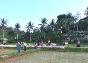 Rekreasi Murah, Persawahan disulap jadi Tempat Wisata