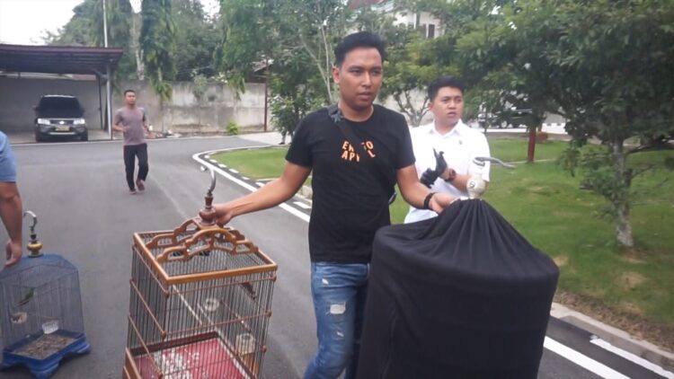 Gara Gara Burung , Supir Ekspedisi Ditangkap Polisi