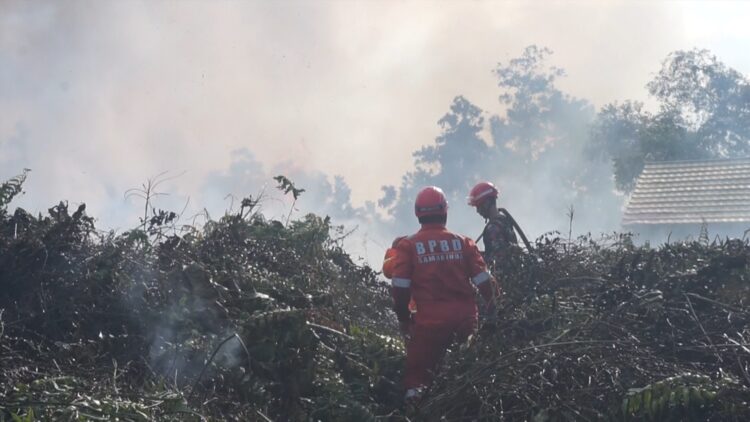 Sepekan Lahan Korpri Pelita 8 Terbakar, 4 Rumah Kosong Ikut Terbakar