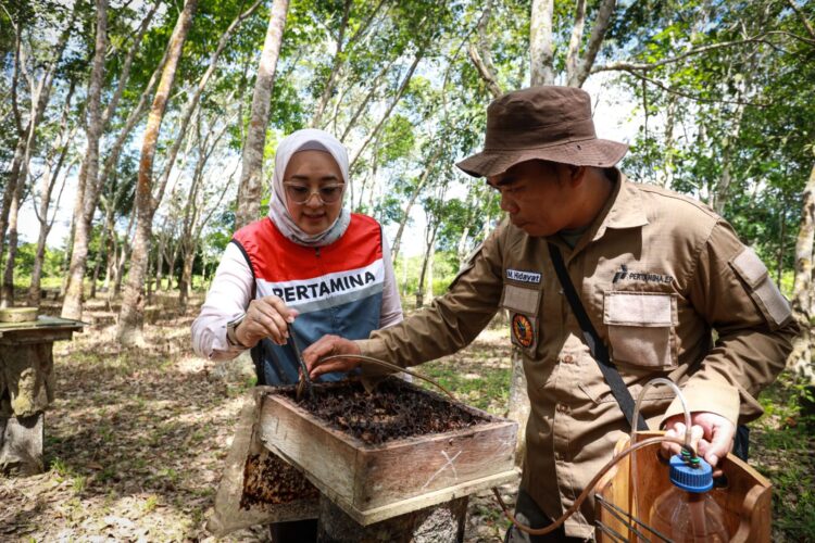 Program CSR PT Pertamina EP Sangatta Berdayakan Petani Madu Kelulut Serta Pariwisata Edukatif di Taman Nasional Kutai