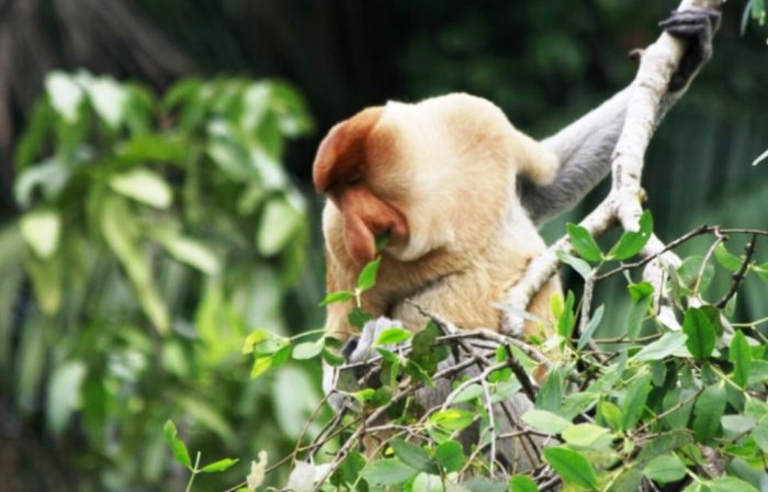 PEP Sangasanga Field Raih Penghargaan ESG Nusantara Plaudit Berkat Prinsip Keberlanjutan