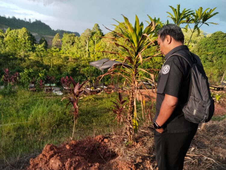 Sempat Dikira Kuburan Kucing, Penggali Kubur temukan Jasad Bayi Baru Lahir