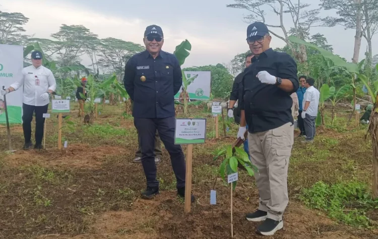 Pj Gubernur Kaltim Dorong Aksi Nyata Rehabilitasi Lahan Eks Tambang