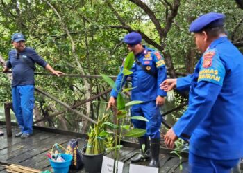 Personel Ditpolairud Polda Kaltim Latih Pembibitan dan Penanaman Mangrove di Konservasi Margomulyo