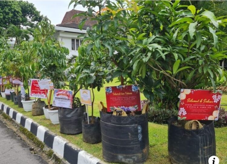 Kirim Sembako atau Pohon