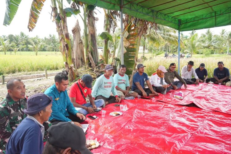 Upaya Peningkatan Produktifitas Petani melalui Rembuk tani