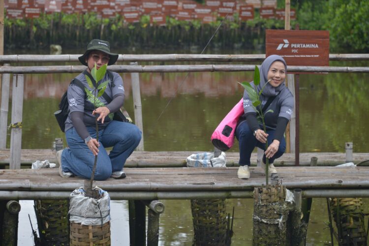 Upaya Lestarikan Lingkungan, Patra Drilling Contractor Turut dalam Penanaman 1.000 Pohon Mangrove di Pesisir Utara Jakarta