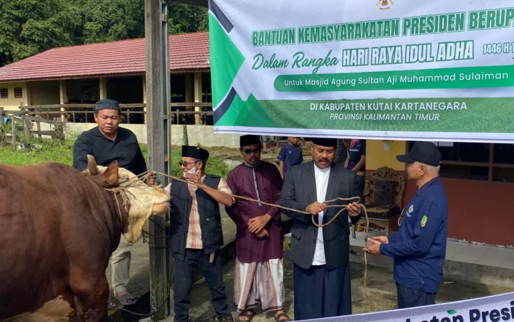 Pemkab Kukar Salurkan 152 Hewan Kurban dalam Rangka Iduladha 1446 H”