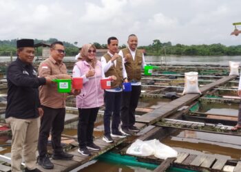 DPMD Kukar Dorong Inovasi Kelompok Budidaya Ikan untuk Meningkatkan Nilai Tambah Ekonomi