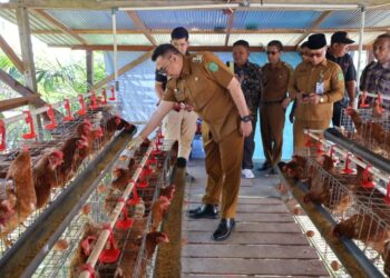 Koperasi Menjadi Pendorong Ekonomi Masyarakat