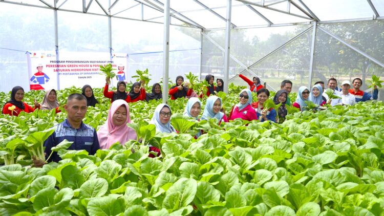 Dukung Ketahanan Pangan, PT Pertamina EP Sangasanga Field Fasilitasi Pendirian Green House Hidroponik
