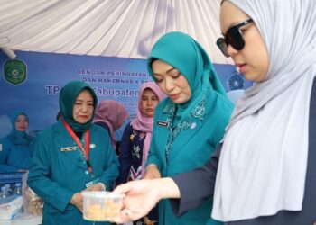 Memperkuat Fungsi PKK untuk Meningkatkan Kesejahteraan Masyarakat