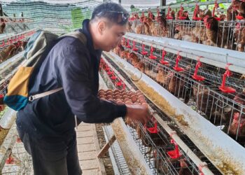 Inovasi Cerdas Desa Loa Duri Ilir dalam Pengelolaan Dana Desa