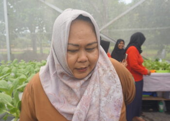 Warga Sarijaya Ciptakan Alat Pengaduk Amplang Otomatis untuk Meningkatkan Efisiensi
