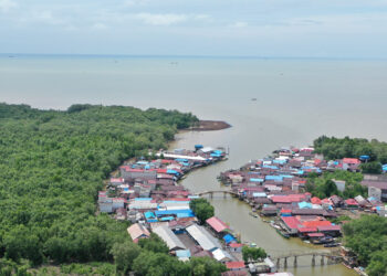 Desa Sepatin Gagas Wisata Mangrove Berbasis Edukasi, Pembangunan Infrastruktur Jadi Tantangan Utama