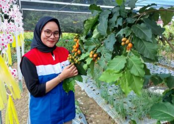 Dukung Penanganan Stunting dan TBC, PT Pertamina EP Sangasanga Field Terus Kembangkan Program CSR “PROKESMAS PUJA”