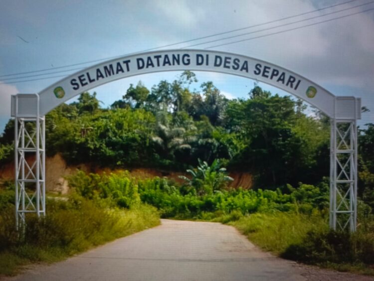 Menemukan Keindahan Kutai Kartanegara, Wisata Alam dan Budaya yang Luar Biasa