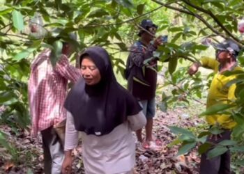 Wisata Petik Buah Segar, Solusi Cerdas untuk Meningkatkan Ekonomi Lokal dan Ketahanan Pangan