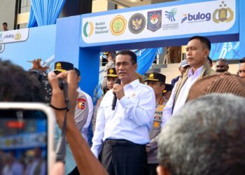 Mentan/Kabapanas: 2027 Papua Sudah Bisa Mandiri Pangan Seperti Pulau Lainnya