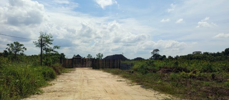 Jetty Ilegal di Kaltim: Ancaman Bagi Lingkungan dan Keuangan Negara