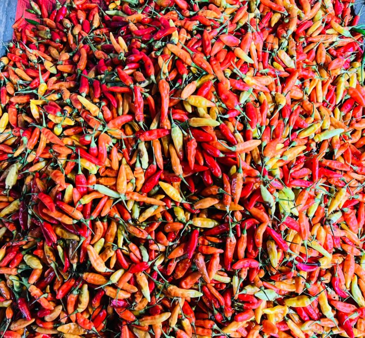 Harga Cabai di Pasar Segiri Samarinda Tembus Rp90 Ribu, Komoditas Sayur Ikut Merangkak Naik