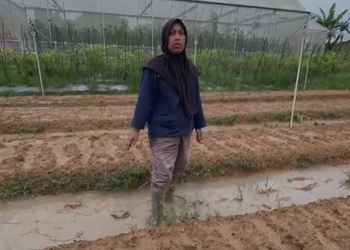 Nestapa di Ladang Sendiri, Kala Kebun Bu Didin Terhimpit Bayang-Bayang Tambang