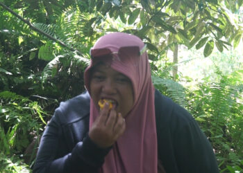 Mengenal Lai Mahakam: Si ‘Emas Jingga’ dari Kutai Kartanegara yang Tak Bikin Mabuk