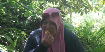 Mengenal Lai Mahakam: Si ‘Emas Jingga’ dari Kutai Kartanegara yang Tak Bikin Mabuk