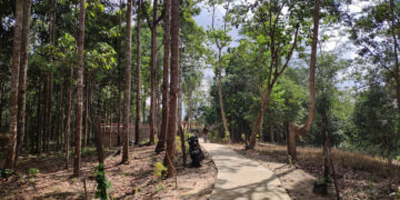 Harapan Baru di Balik Pohon Meranti: 833 Hektare Hutan Kaltim Kini Sah Dikelola Warga