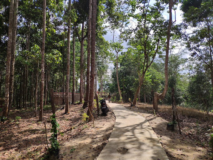 Harapan Baru di Balik Pohon Meranti: 833 Hektare Hutan Kaltim Kini Sah Dikelola Warga