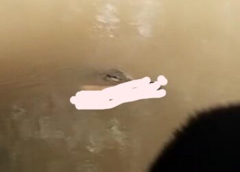 Duka di Tepian Bengalon,  Saat Canda Bocah Terhenti oleh Sang Predator