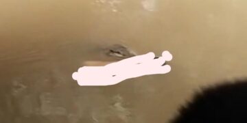 Duka di Tepian Bengalon,  Saat Canda Bocah Terhenti oleh Sang Predator