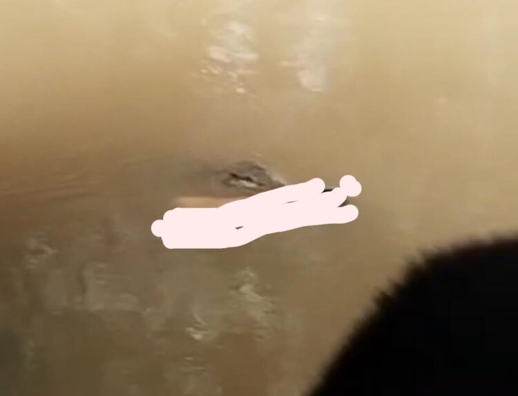 Duka di Tepian Bengalon,  Saat Canda Bocah Terhenti oleh Sang Predator