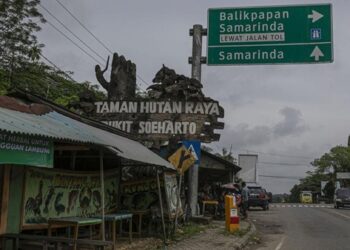 IKN Mulai ‘Bersih-Bersih’ Bangunan Ilegal di Tahura