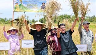 Harapan Baru dari Muara Jawa: Padi Gogo “Pulen” Siap Jadi Penopang Pangan IKN