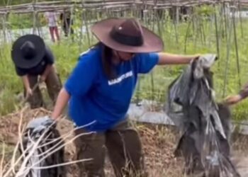 Balada Arang di Tengah Jeritan Ekonomi: Napas Sesak Perajin Laban dari Desa Senoni