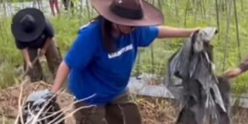 Balada Arang di Tengah Jeritan Ekonomi: Napas Sesak Perajin Laban dari Desa Senoni