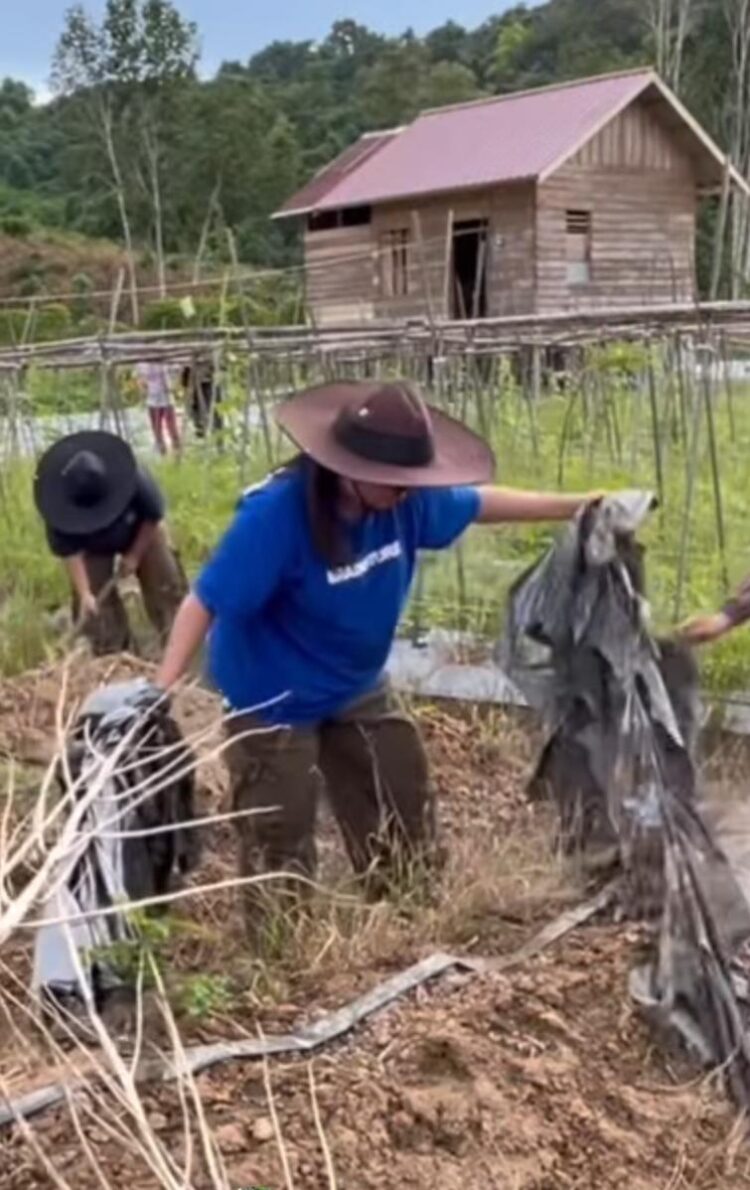 Balada Arang di Tengah Jeritan Ekonomi: Napas Sesak Perajin Laban dari Desa Senoni