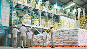 Angin Segar bagi Petani Tebu Blora, BULOG Pastikan Serap Hasil Panen 2026 via PT GMM