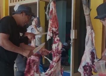 PWI Kaltim Berbagi Hewan Kurban, Prioritaskan Anggota Senior