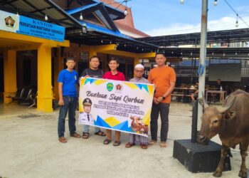 Wujud Kepedulian, Gubernur Rudy Mas’ud Serahkan Sapi Kurban ke PWI Kaltim