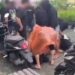 Keresahan Warga dan Lingkaran Setan Narkoba di Sudut Kota Samarinda