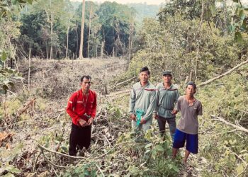 Nestapa Pemburu Madu Dayak Luangan di Ranah Bongan