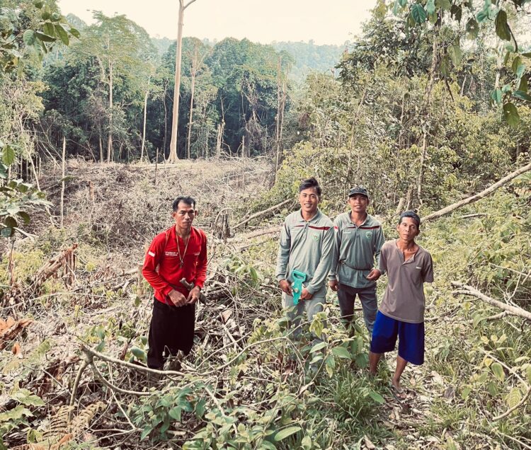 Nestapa Pemburu Madu Dayak Luangan di Ranah Bongan