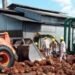Minyak Sawit dan Harapan Baru untuk Kesejahteraan Petani di Daerah