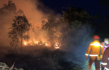 Terbakar dan Terkepung, Perjuangan Menjinakkan Karhutla di Jantung Kalimantan Timur