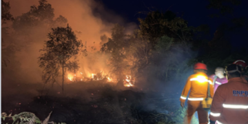 Terbakar dan Terkepung, Perjuangan Menjinakkan Karhutla di Jantung Kalimantan Timur