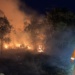 Terbakar dan Terkepung, Perjuangan Menjinakkan Karhutla di Jantung Kalimantan Timur