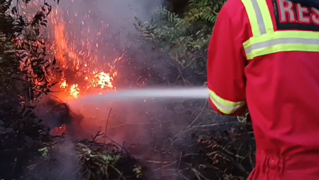 Ancaman Karhutla Kaltim Meluas, Lahan Perusahaan Paling Banyak Terbakar, Status Siaga Darurat Disiapkan